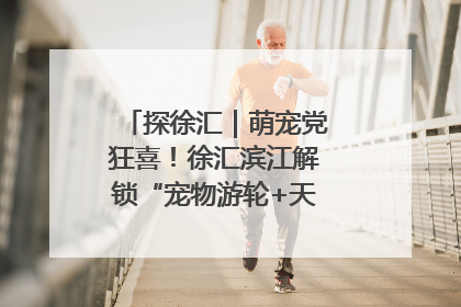 探徐汇｜萌宠党狂喜！徐汇滨江解锁“宠物游轮+天台乐园”双玩法