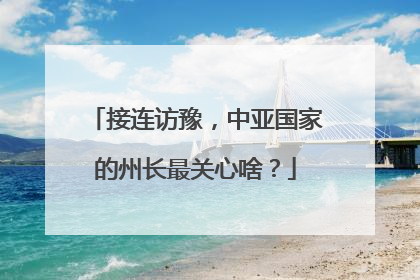 接连访豫，中亚国家的州长最关心啥？