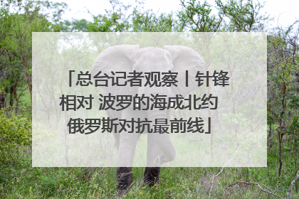 总台记者观察丨针锋相对 波罗的海成北约俄罗斯对抗最前线