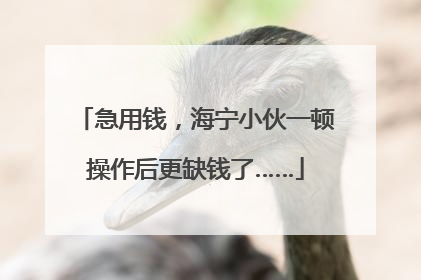 急用钱，海宁小伙一顿操作后更缺钱了……