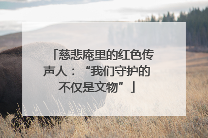 慈悲庵里的红色传声人：“我们守护的不仅是文物”
