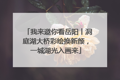 我来邀你看岳阳丨洞庭湖大桥彩绘换新颜，一城湖光入画来