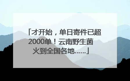 才开始，单日寄件已超2000单！云南野生菌火到全国各地……