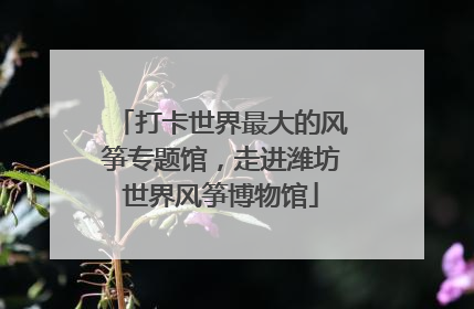打卡世界最大的风筝专题馆，走进潍坊世界风筝博物馆