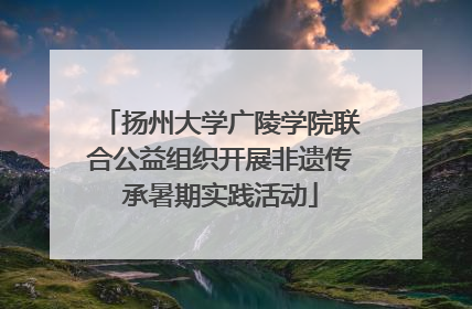 扬州大学广陵学院联合公益组织开展非遗传承暑期实践活动