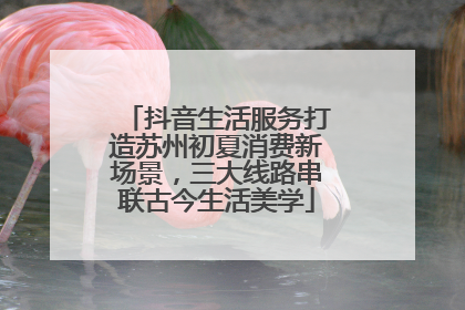 抖音生活服务打造苏州初夏消费新场景，三大线路串联古今生活美学
