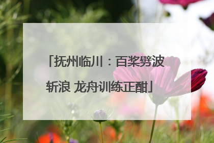 抚州临川：百桨劈波斩浪 龙舟训练正酣