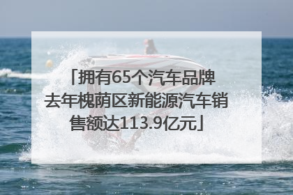 拥有65个汽车品牌 去年槐荫区新能源汽车销售额达113.9亿元