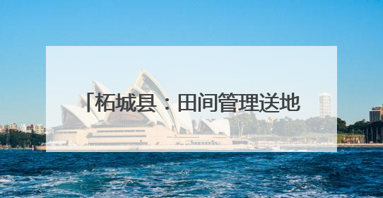 柘城县：田间管理送地头 抗旱保苗保丰收