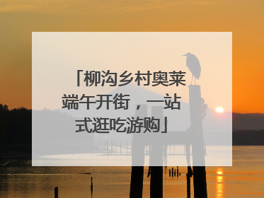 柳沟乡村奥莱端午开街，一站式逛吃游购