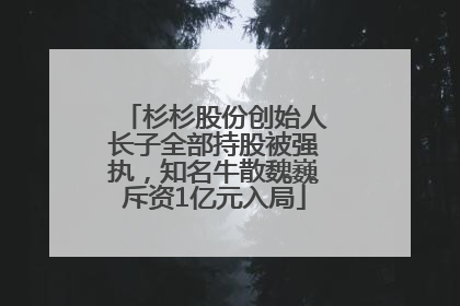 杉杉股份创始人长子全部持股被强执，知名牛散魏巍斥资1亿元入局