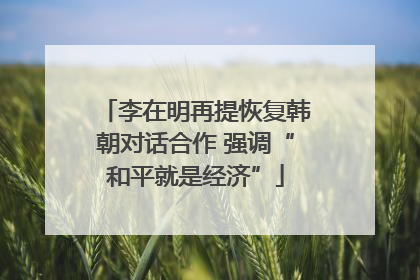 李在明再提恢复韩朝对话合作 强调“和平就是经济”