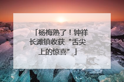 杨梅熟了！钟祥长滩镇收获“舌尖上的惊喜”