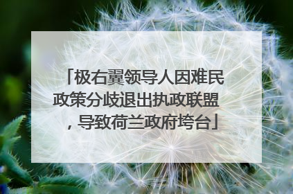 极右翼领导人因难民政策分歧退出执政联盟，导致荷兰政府垮台