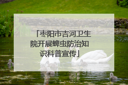 枣阳市吉河卫生院开展蜱虫防治知识科普宣传