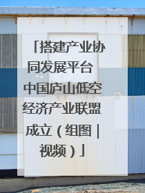 搭建产业协同发展平台 中国庐山低空经济产业联盟成立（组图｜视频）