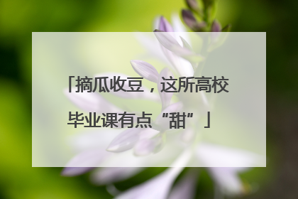 摘瓜收豆，这所高校毕业课有点“甜”