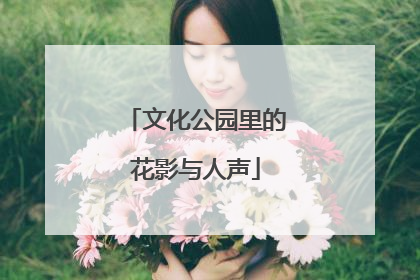 文化公园里的花影与人声