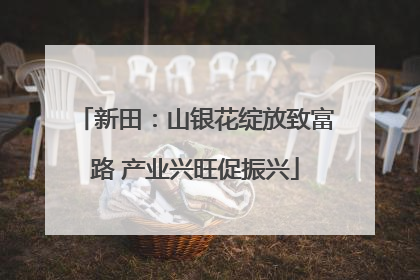 新田：山银花绽放致富路 产业兴旺促振兴