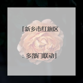 新乡市红旗区：多部门联动