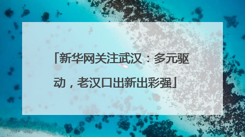 新华网关注武汉：多元驱动，老汉口出新出彩强