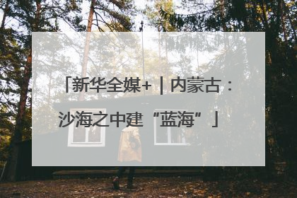 新华全媒+｜内蒙古：沙海之中建“蓝海”