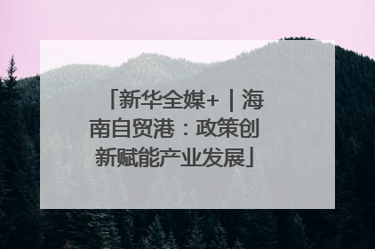 新华全媒+｜海南自贸港：政策创新赋能产业发展