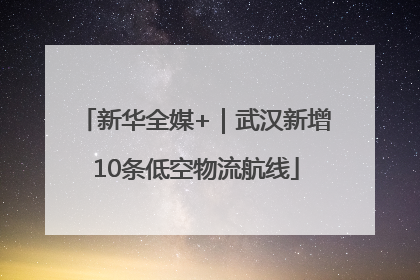 新华全媒+｜武汉新增10条低空物流航线