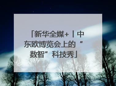 新华全媒+丨中东欧博览会上的“数智”科技秀