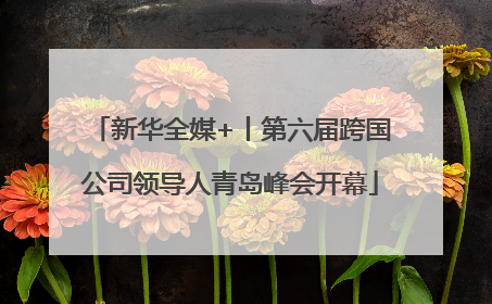 新华全媒+丨第六届跨国公司领导人青岛峰会开幕