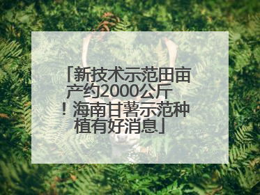 新技术示范田亩产约2000公斤！海南甘薯示范种植有好消息