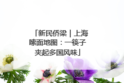 新民侨梁｜上海嗦面地图：一筷子夹起多国风味