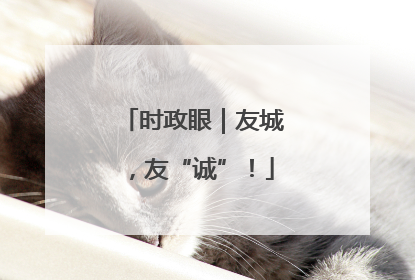 时政眼｜友城，友“诚”！