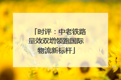 时评：中老铁路量效双增领跑国际物流新标杆
