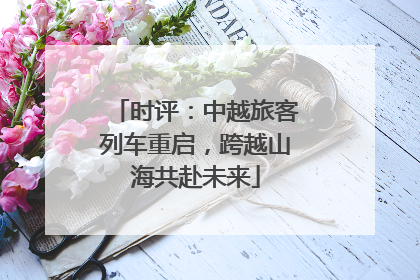 时评：中越旅客列车重启，跨越山海共赴未来