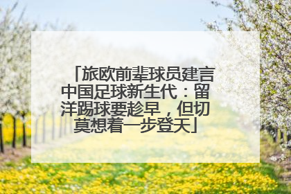 旅欧前辈球员建言中国足球新生代：留洋踢球要趁早，但切莫想着一步登天