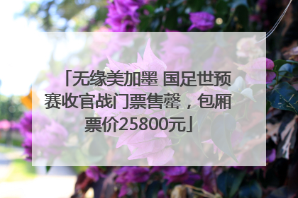 无缘美加墨 国足世预赛收官战门票售罄，包厢票价25800元