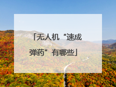 无人机“速成弹药”有哪些