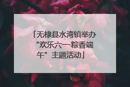 无棣县水湾镇举办“欢乐六一·粽香端午”主题活动