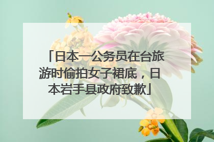 日本一公务员在台旅游时偷拍女子裙底，日本岩手县政府致歉