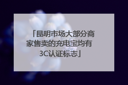 昆明市场大部分商家售卖的充电宝均有3C认证标志