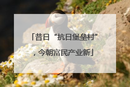 昔日“抗日堡垒村”，今朝富民产业新
