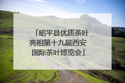 昭平县优质茶叶亮相第十九届西安国际茶叶博览会