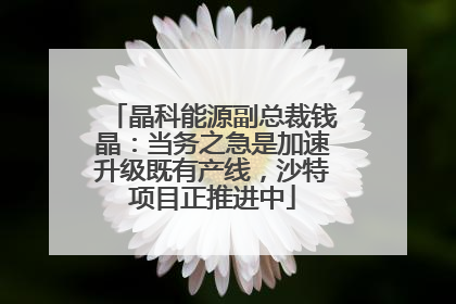 晶科能源副总裁钱晶：当务之急是加速升级既有产线，沙特项目正推进中