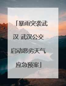 暴雨突袭武汉 武汉公交启动恶劣天气应急预案