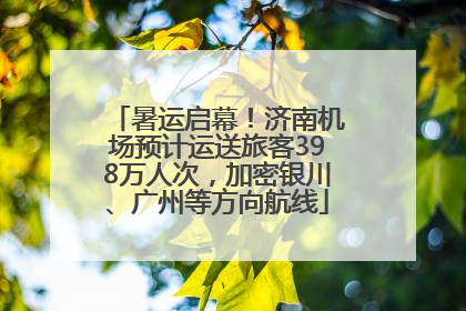 暑运启幕！济南机场预计运送旅客398万人次，加密银川、广州等方向航线