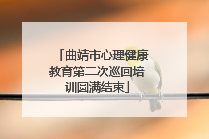 曲靖市心理健康教育第二次巡回培训圆满结束