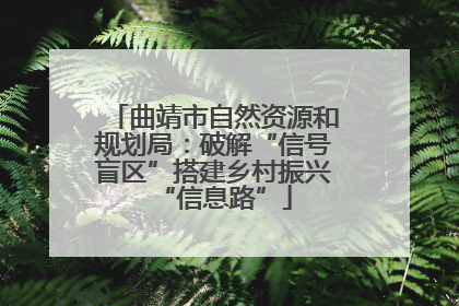 曲靖市自然资源和规划局：破解“信号盲区”搭建乡村振兴“信息路”