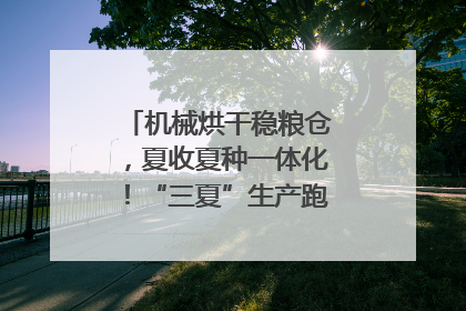 机械烘干稳粮仓，夏收夏种一体化！“三夏”生产跑出加速度｜麦报