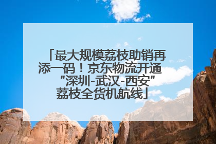 最大规模荔枝助销再添一码！京东物流开通“深圳-武汉-西安” 荔枝全货机航线